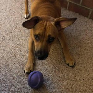 Meet your Posher, Helen